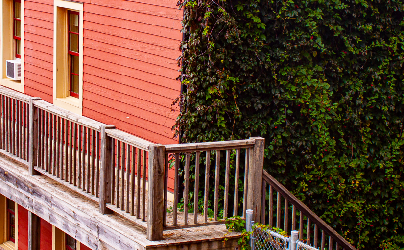 Home Portrait 09/18/2021