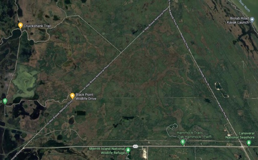 Birds of Merritt&nbsp;Island